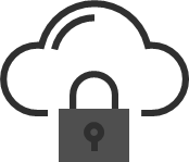 Data security icon